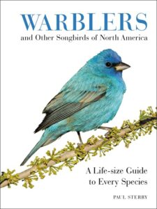 Warblers and Other Songbirds of 0062446819