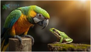 what if a pet bird eats frogs what if a pet bird eats frogs