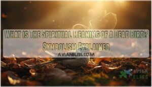 what is the spiritual meaning of a dead bird what is the spiritual meaning of a dead bird