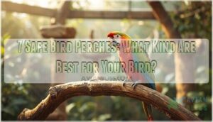 what kind of perches are safe for birds what kind of perches are safe for birds