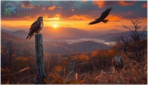 where and when to spot them where and when to spot them