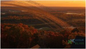 where are all the songbirds in september where are all the songbirds in september