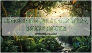 where songbirds live naturally
