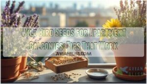 wild bird seeds for apartment balconies