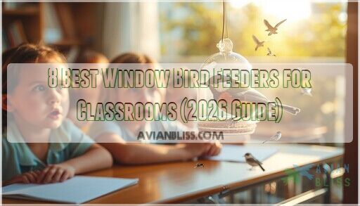 Photo inspiration: Visual Reference: 8 Best Window Bird Feeders For Classrooms 2026 Guide