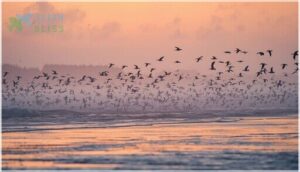 wintering locations and migration routes wintering locations and migration routes