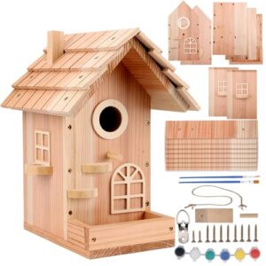 Wood Bird House Kit, Build B0FPC2BNTQ