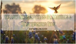 yellow birds in texas yellow birds in texas