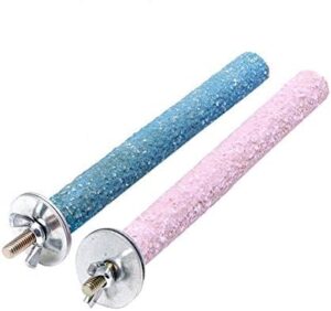 2 Pcs Multi Color Random Bird B0D95X9RLZ