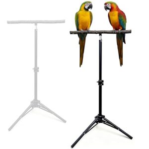 Adjustable Bird Perch Stand, 15 31 B0G2QLK2DC