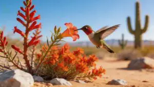 best native flowers for the southwest best native flowers for the southwest