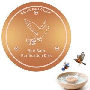 Bird Bath Copper Discs B0FSXQGR6J