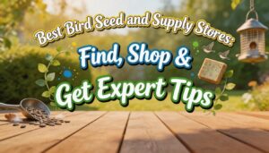 bird seed and supply stores bird seed and supply stores