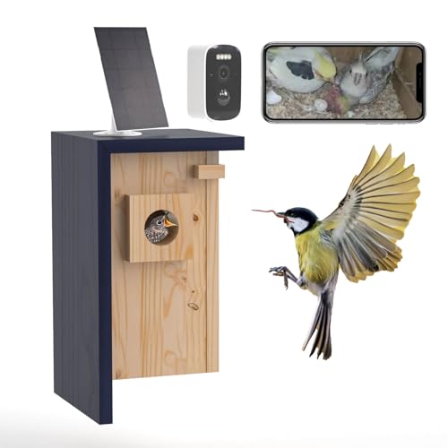 Birdhouse Camera – Solar Powered