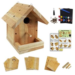 DIY Birdhouse Kit with Paint B09WYJR4XJ