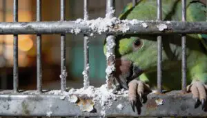 galvanized metal and zinc poisoning risks galvanized metal and zinc poisoning risks