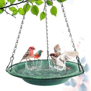 Hanging Bird Bath & Feeder B0F337NHSH