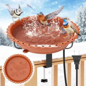 Heated Bird Bath for Outdoors, B0FRSNQRTT