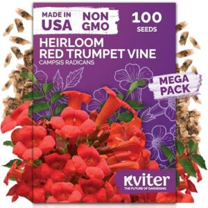 KVITER 100 Red Trumpet Vine B0FN4X5BWT