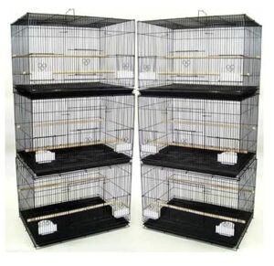 Lot of 6 Breeding Bird B0B3SFP2ZS