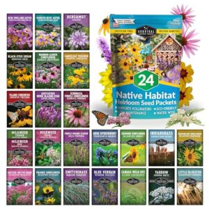 Native Wildflower Seeds for Planting B0F3B817MV
