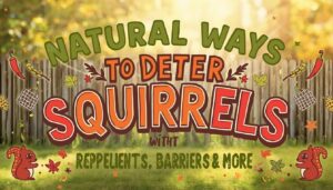 natural ways to deter squirrels natural ways to deter squirrels