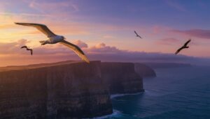 record-breaking wingspans record-breaking wingspans