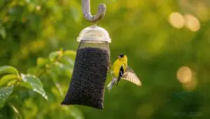 sock feeders for simple feeding sock feeders for simple feeding
