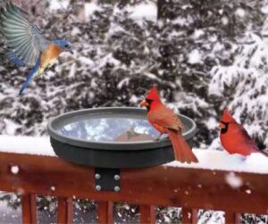 Songbird Spa Heated Birdbath B017CRYRQG