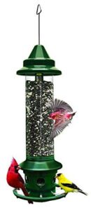 Squirrel Buster Plus Squirrel proof Bird B0007LQ3RQ