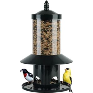 Squirrel Proof Bird Feeder B0FN67ZL4P