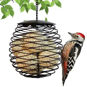 Suet Ball Feeders, Suet Feeder, B09NNP9PLY