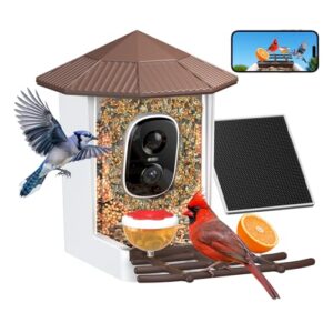 wansview Bird Feeder with Camera Smart B0FR7Q5RR1