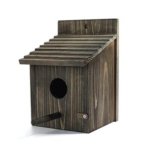 Weatherproof Bird House, Wooden Bird B094N3F1FH