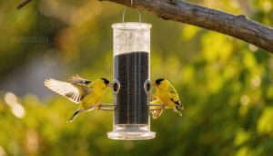 what makes a great finch feeder what makes a great finch feeder