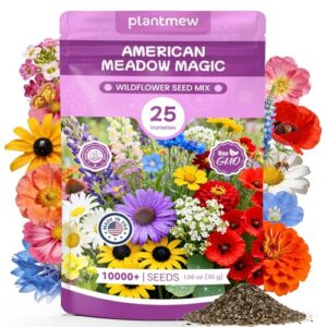 Wildflower Seeds Bulk Mix B0G1BFJ6KC