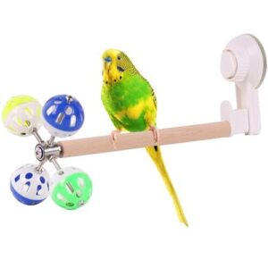 Window Suction Cup Bird Perch B0D5QL39VP