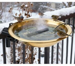 12" Heated Bird Bath 50W B0FT296HV8
