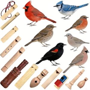 12 Piece Wooden Bird Whistle Set B0GDQM17XK