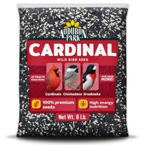 Audubon Park Cardinal Wild Bird B0FH7CX4S7