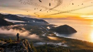 best places to see migration best places to see migration
