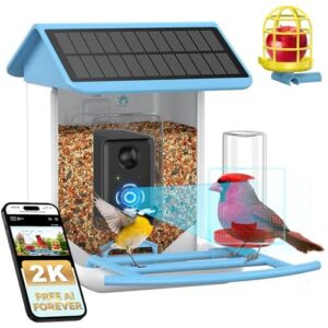 Bird Feeder with Camera No B0FNDCYGD4
