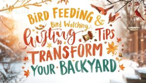 bird feeding and bird watching bird feeding and bird watching