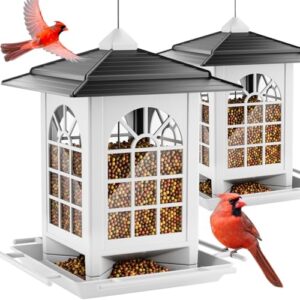 Birdream 2 Pack Bird Feeders B0F1324KFP