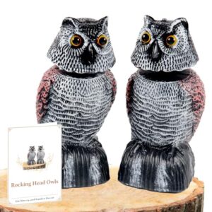 BobbleHead Owl Decoys Sculpture to B0CZSPBD2T