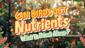 can birds get nutrients from diet alone