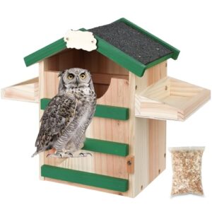 Cedar Owl House Asphalt Roof B0F8VFC2ZQ