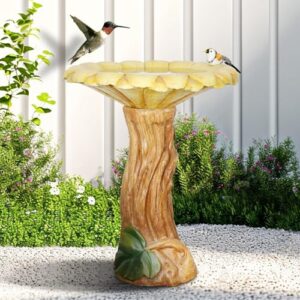 Concrete Birdbath for Outdoors with B0DHCWMB4T