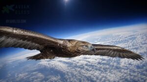 death limit: around 37,000 feet death limit: around 37,000 feet
