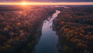 eastern forests and migratory corridors eastern forests and migratory corridors